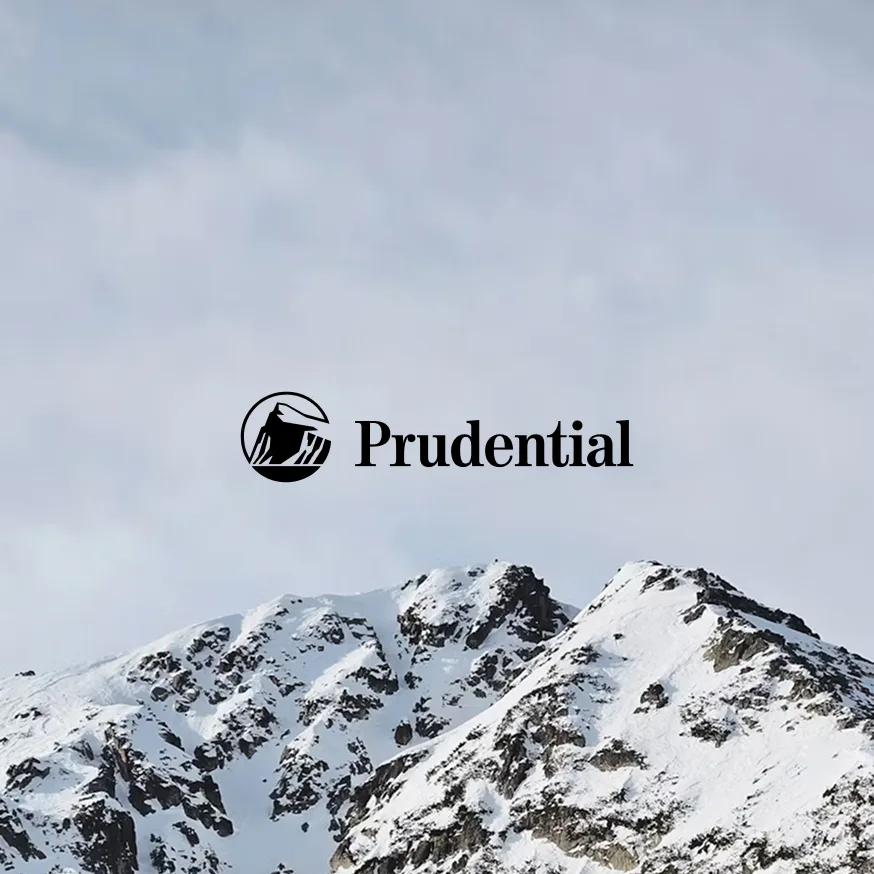 Prudential Financial case study